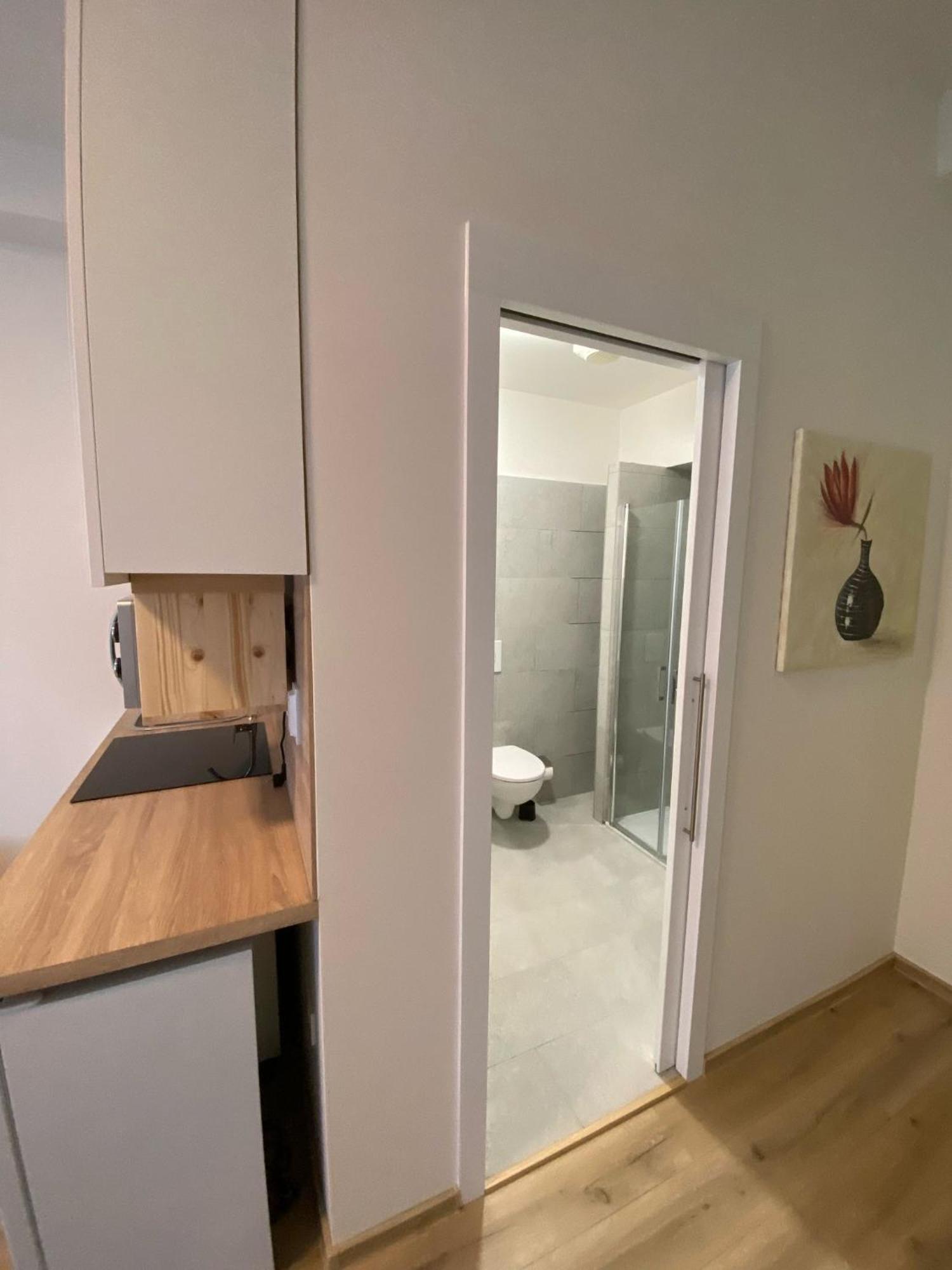 Garsoniera Ostrava City Centr, Na Hradbach 118 Εξωτερικό φωτογραφία